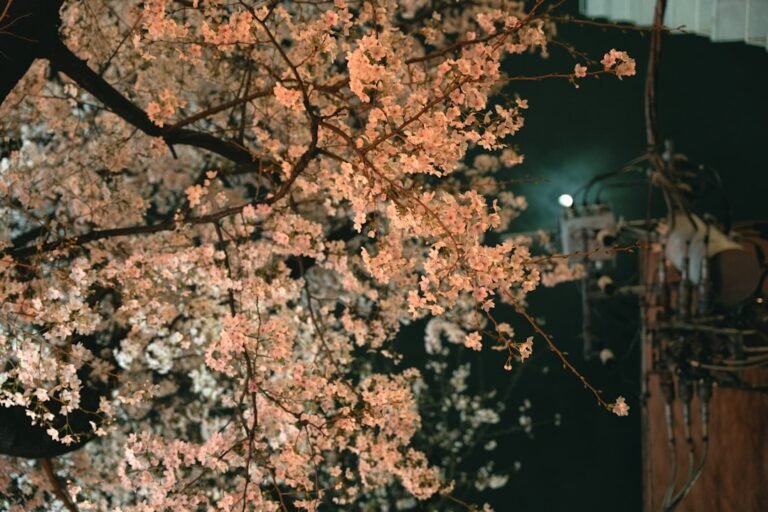 evening wedding reception under marquee tent with illuminated cherry blossom tree rental BC creating romantic ambiance